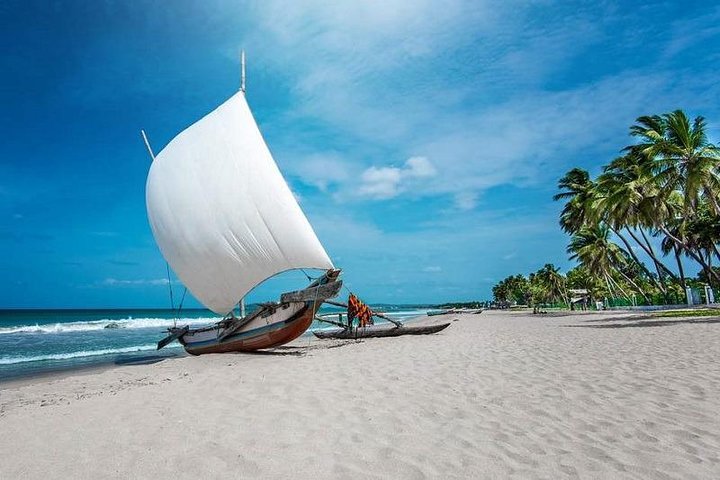 Negombo City And Fishing Village Private Day Tour From Colombo - Image 1