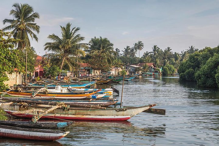 Negombo City And Fishing Village Private Day Tour From Colombo - Image 2