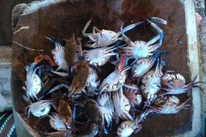 Negombo City Tour - Image 1