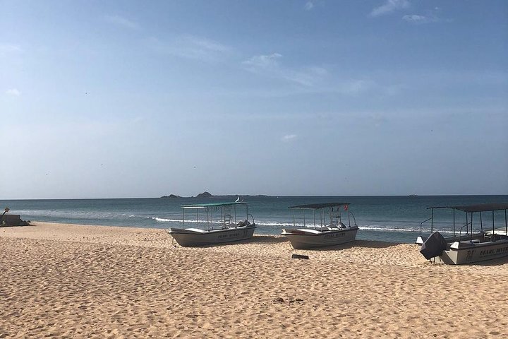 Negombo Day Tour - Image 3