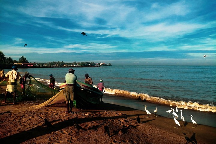 Negombo Day Tour - Image 5