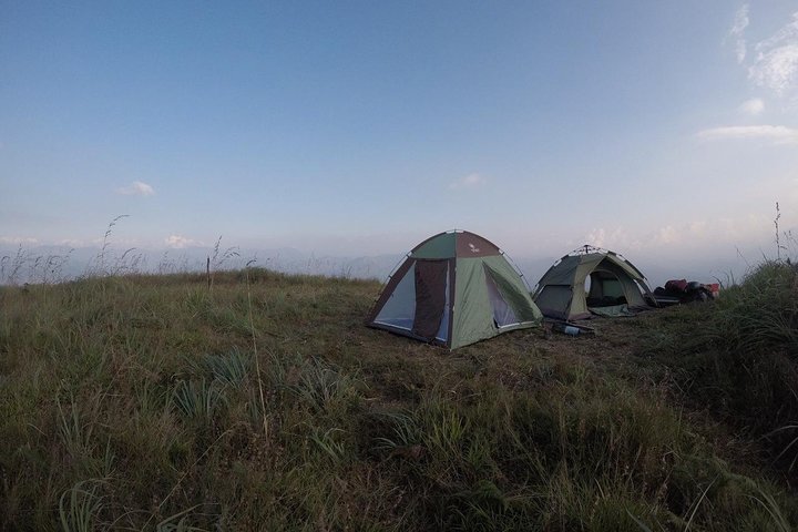 Night Camping Tour - Image 2