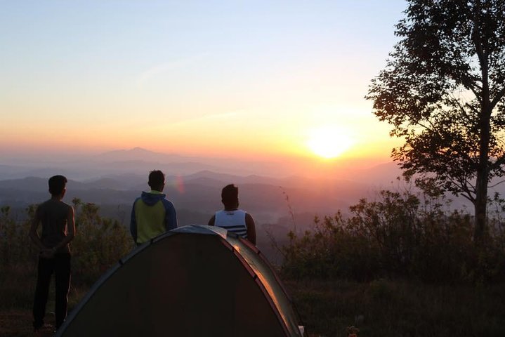 Night Camping Tour - Image 1