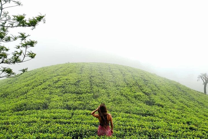 Private 7 Days Sri Lanka Tour with Safari and Cultural sites - Image 4