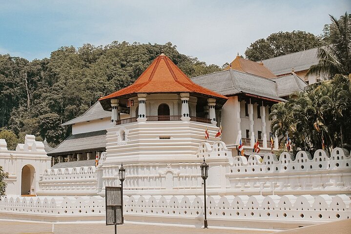 Private 7 Days Sri Lanka Tour with Safari and Cultural sites - Image 3