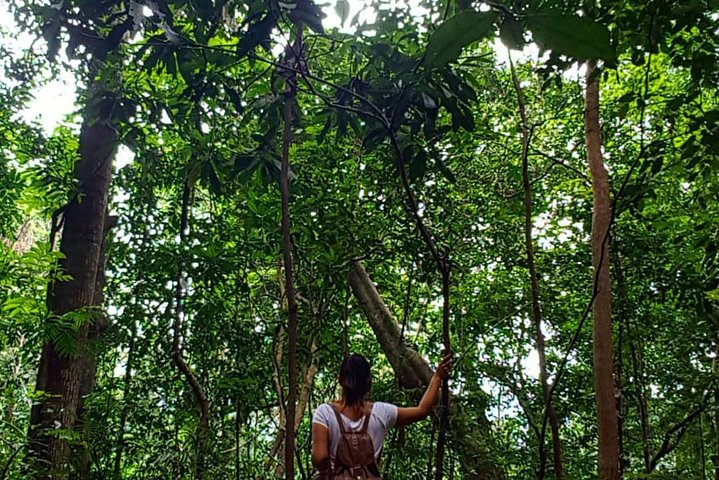 Private Bird watching and Nature trekking in Udawatta Kele Sanctuary - Image 1