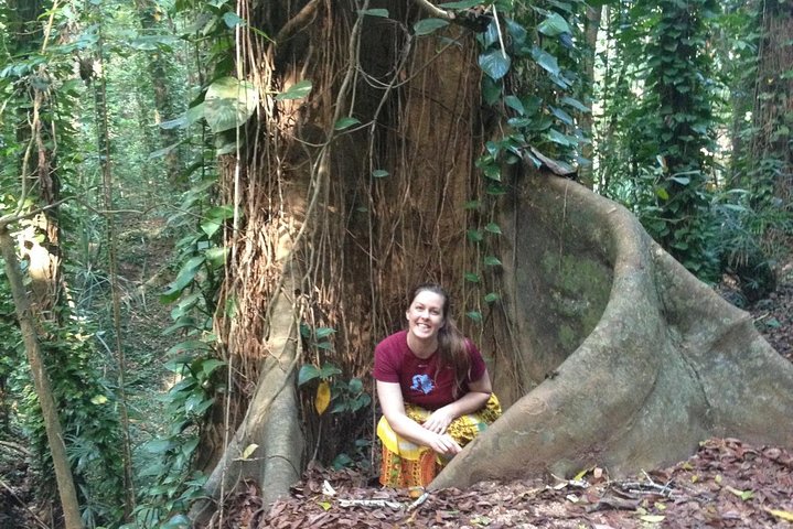 Private Bird watching and Nature trekking in Udawatta Kele Sanctuary - Image 5