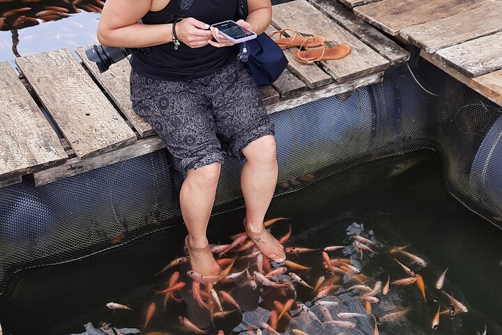 Private Day Tour of the Southern Coast from Colombo/Negambo - Image 5