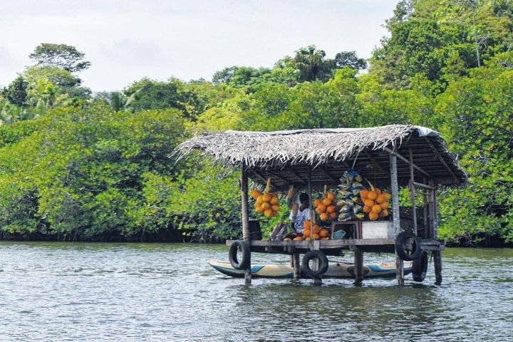 Private Day Tour to Galle with Madu River Safari - Image 3