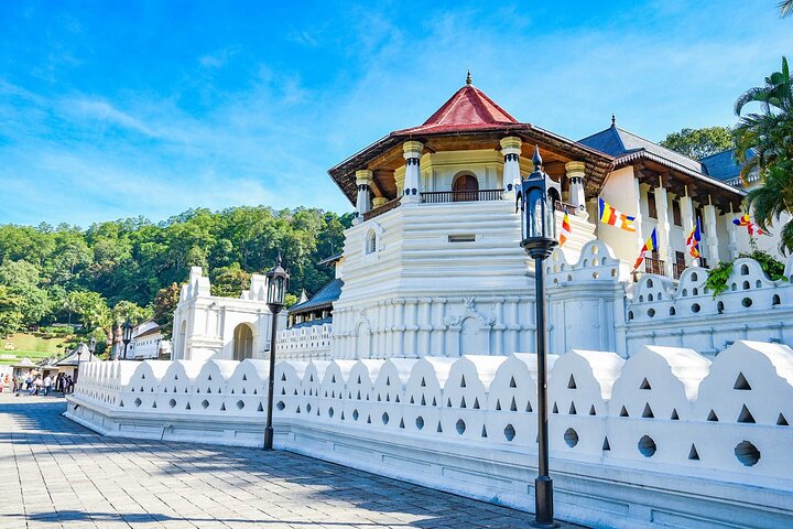 Private Full-Day Tour to Kandy and Pinnawala  - Image 1