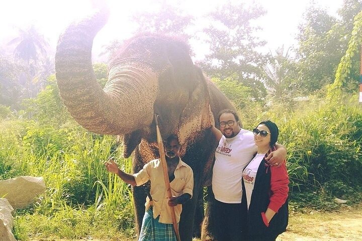 Private Full-Day Tour to Kandy and Pinnawala  - Image 2