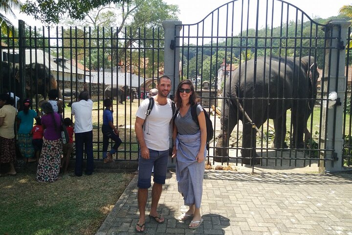 Private Full-Day Tour to Kandy and Pinnawala  - Image 4