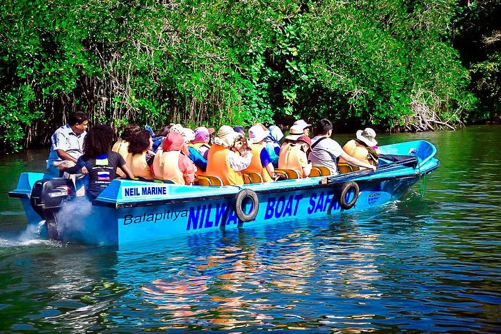 Private Galle Day Tour with Boat Safari & Tea Factory Visit - All Inclusive - Image 5