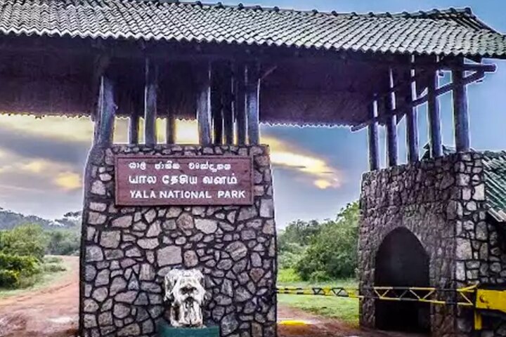 Private Jeep Safari To Yala National Park From Colombo - Image 4