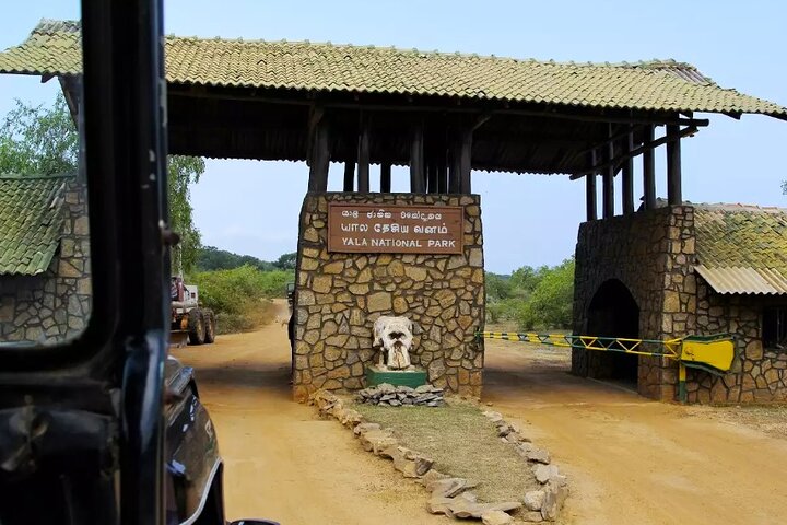 Private Jeep Safari To Yala National Park From Colombo - Image 5
