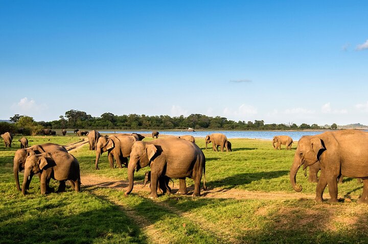 Private Multi-Day Outdoor Tour in Sri Lanka - Image 1