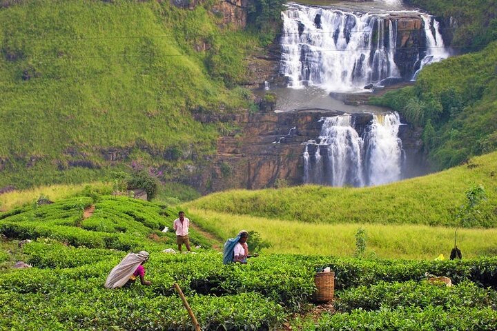Private tour start from Colombo airport 4 person for 7 N / 8 days - Image 1