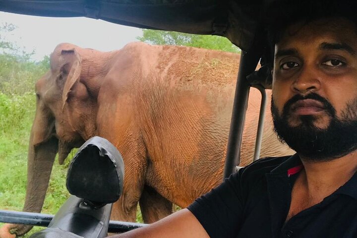 Private Van / Car & Driver for 10 Days Tour in Sri Lanka - Image 4