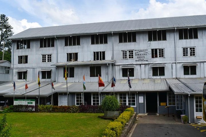 Shore Excursion Colombo Port to Kandy & Tea Factory - Image 2