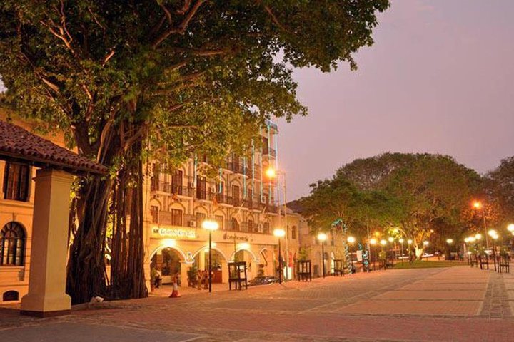 Shore Excursion Colombo Port to Kelaniya Temple & Colombo City for 3 to 4 People - Image 2
