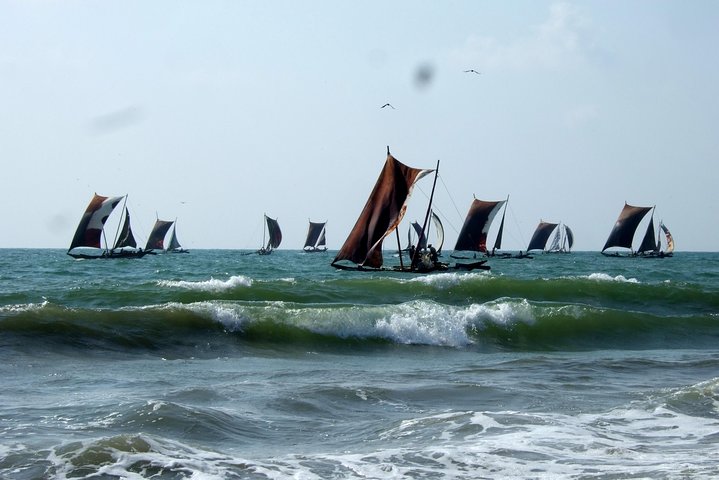 Shore Excursion from Colombo port to Negombo Beach & back for 1 to 2 People - Image 2