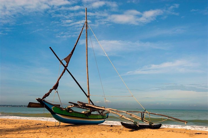 Shore Excursion from Colombo port to Negombo Beach & back for 4 to 6 People - Image 2