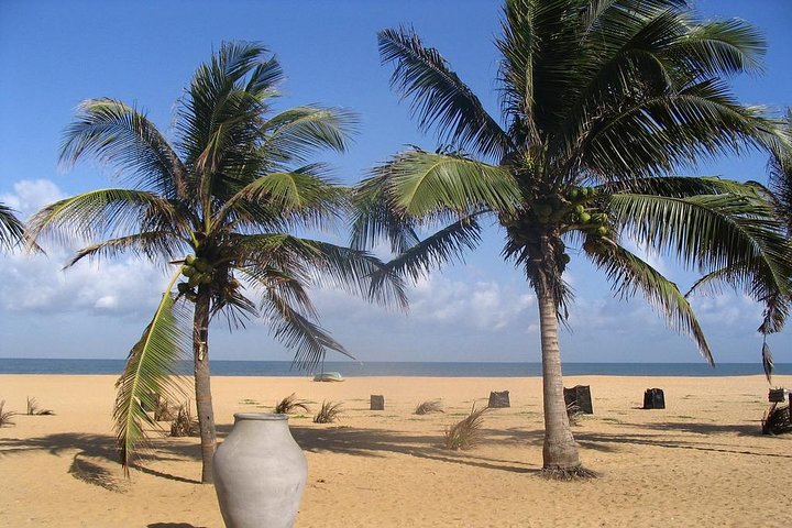 Shore Excursion from Colombo port to Negombo Beach & back for 7 to12 People - Image 1