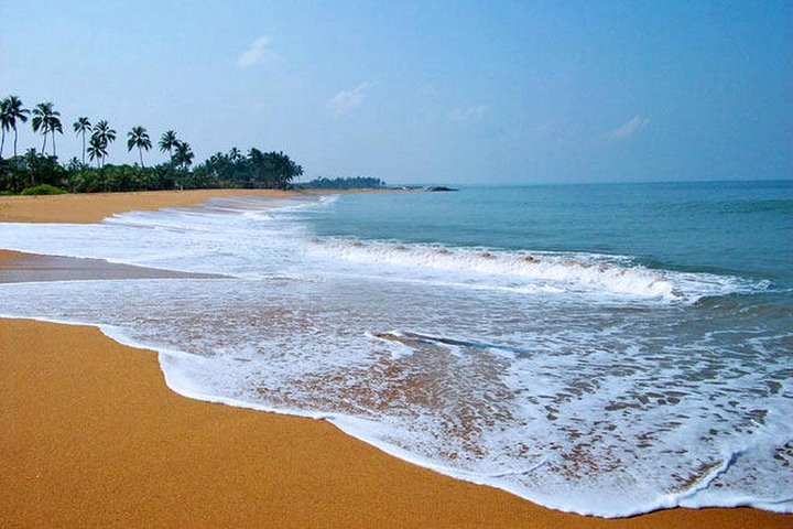 Shore Excursion from Colombo port to Negombo Beach & back for 7 to12 People - Image 2
