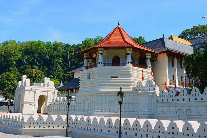 Shore Excursion Kandy Day Tour - Image 3