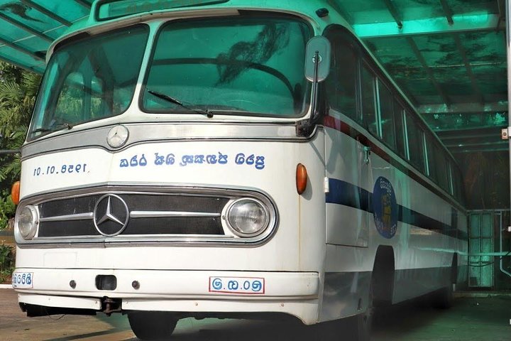 Shore Excursion Kelaniya Temple & Colombo city day trips - Image 3