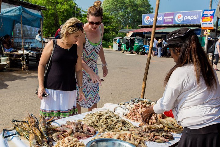 Shore Excursions Colombo Port Passenger Jetty to Negombo By Car  - Image 4