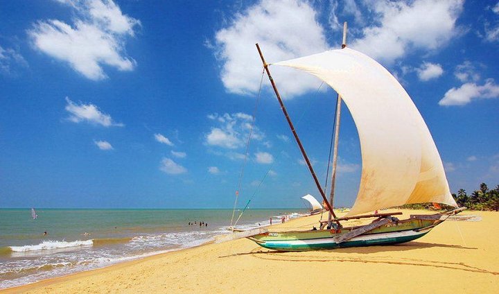 Shore Excursions Colombo Port Passenger Jetty to Negombo By Car  - Image 2
