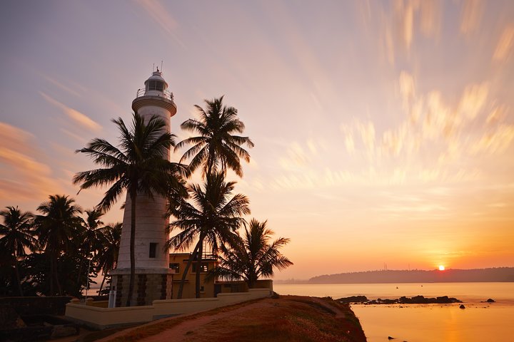 Southern Coast Highlights from Colombo Port - Image 4