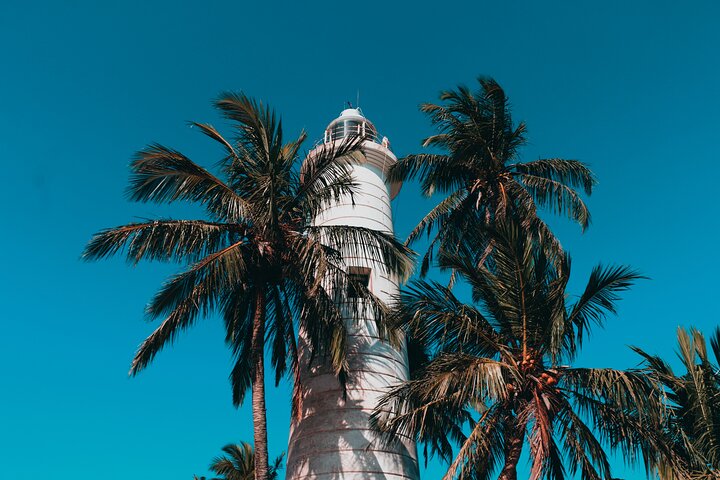 Southern Coast Highlights from Colombo Port - Image 1