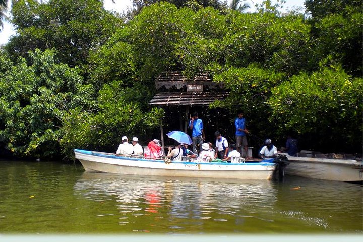 Southern Sri Lanka Sightseeing Private Day Trip - Image 2