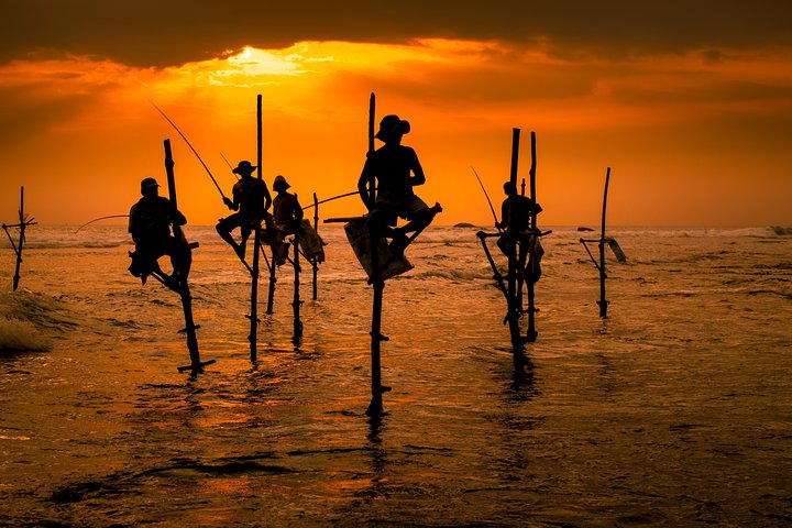 Southern Sri Lanka Sightseeing Private Day Trip From Colombo/Negombo - Image 1