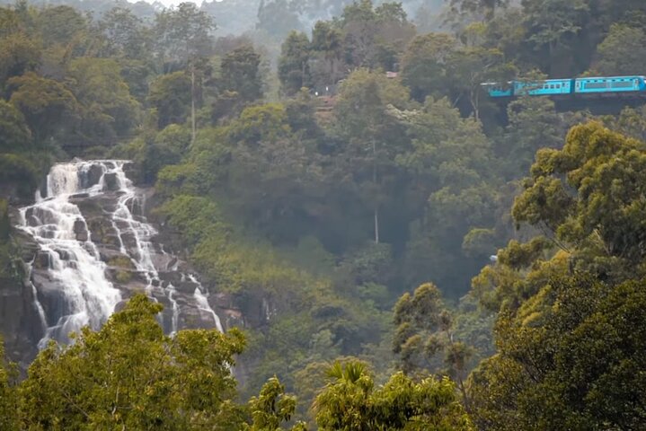 Sri Lanka 7 Days Sightseeing Tour Package - Image 5