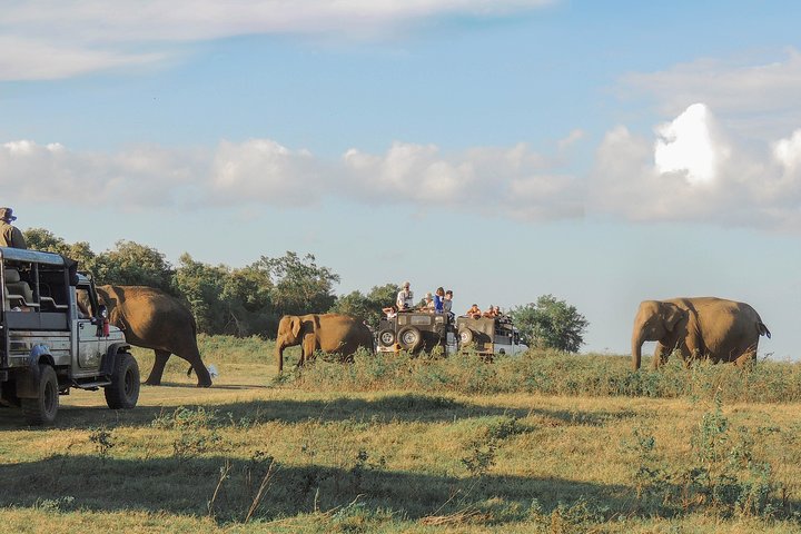 Sri Lanka Aborigine Tour (4 Days) - Image 3