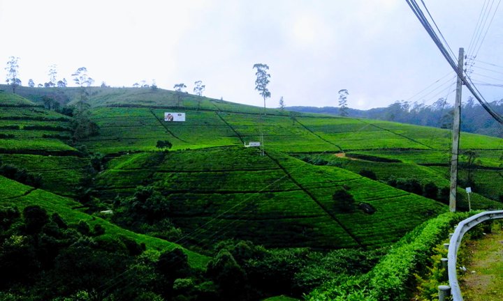 Sri lanka Local Tours - Customized Tour Package, 10 Days - Image 2
