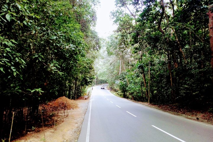 Sri Lanka Private 21 days tour include sightseeing,Wild life,Cultural,Boat tour - Image 3
