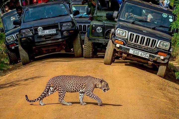 Sri Lanka private tour package 9 night 10 Day with driver+vehicle+accommodations - Image 3