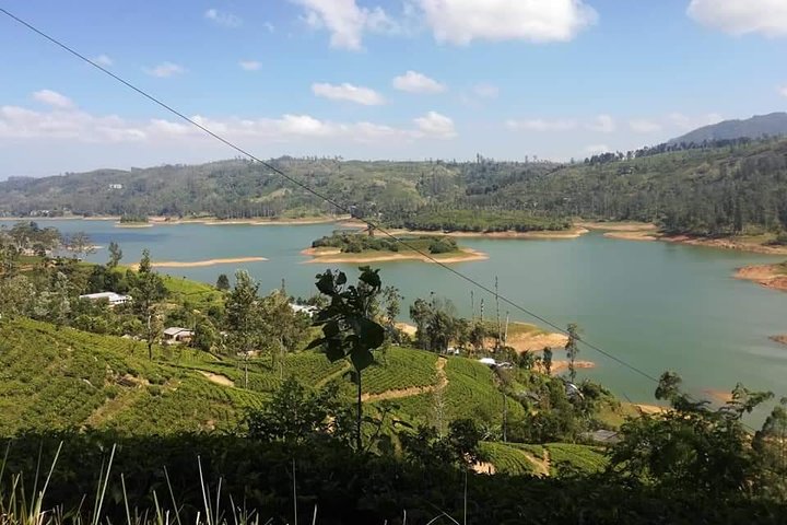 Sri Lankan Tourist Driver with great local )knowledge all over the country!  - Image 2