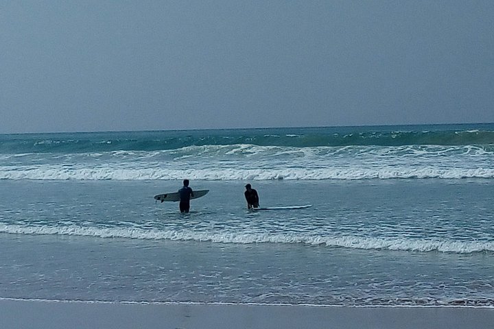 Surf Spots Tour Include Wildlife and Sightseeing - Image 2