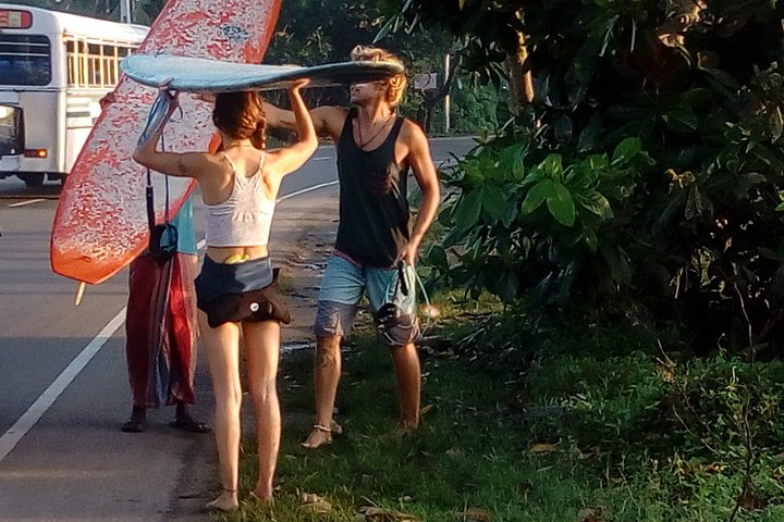 Surf Spots Tour Include Wildlife and Sightseeing - Image 4