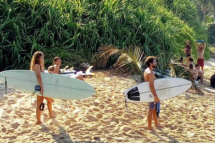 Surf Spots Tour Include Wildlife and Sightseeing - Image 1