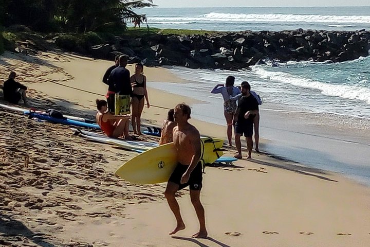 Surf Spots Tour Include Wildlife and Sightseeing - Image 3