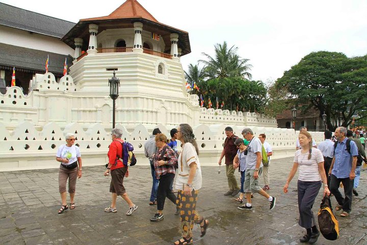 The Last Kingdom Private Day Tour in Kandy - Image 4