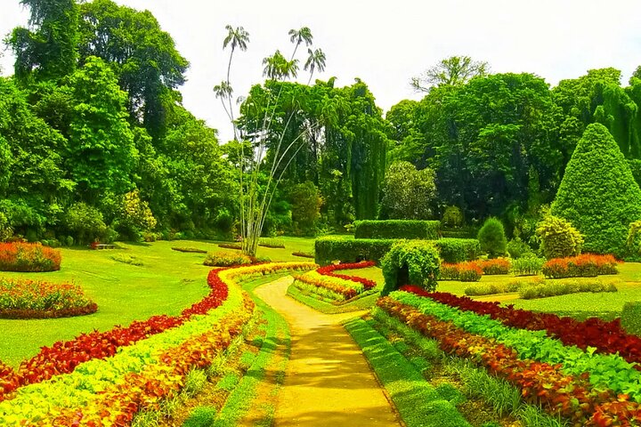 Three Days Tour of Sigiriya, Dambulla, Safari and Kandy  - Image 4