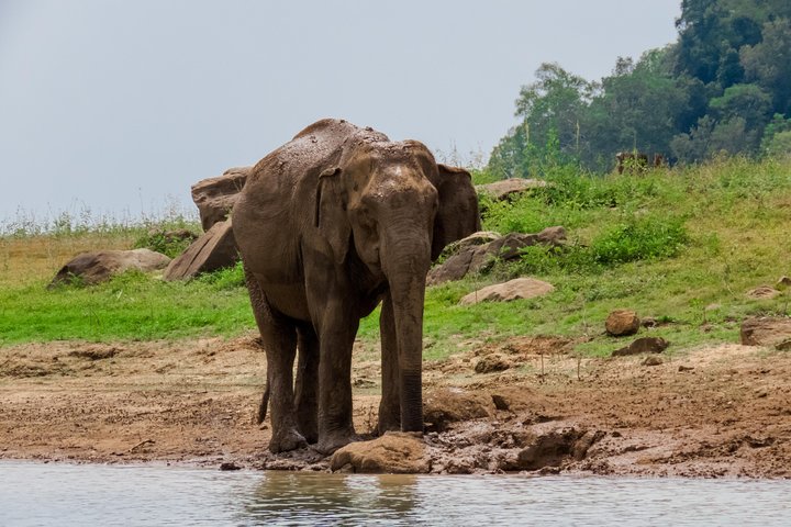 Trail Around Ceylon (13 Days) - Image 4