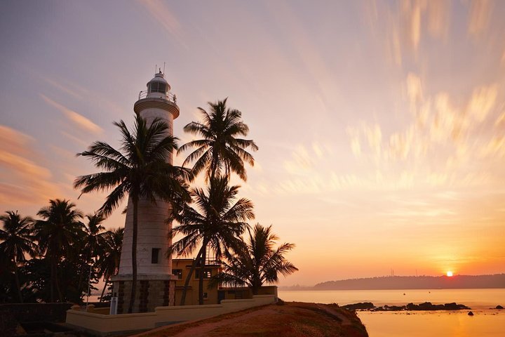 Trail Around Ceylon (13 Days) - Image 5